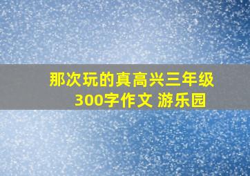 那次玩的真高兴三年级300字作文 游乐园